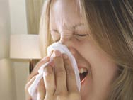 Symptoms of a Cold and Flu - Common Symptoms of the Common Cold