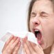 Symptoms of a Cold and Flu - Common Symptoms of the Common Cold